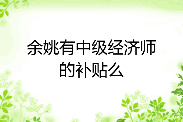 余姚有中级经济师的补贴么