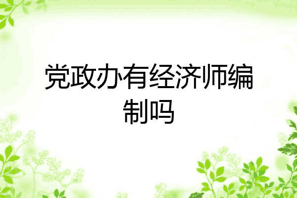 党政办有经济师编制吗