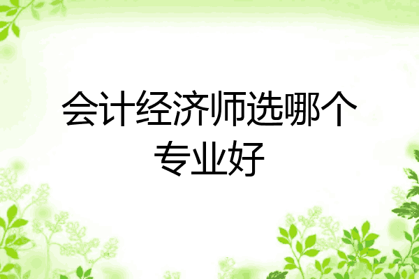 会计经济师选哪个专业好