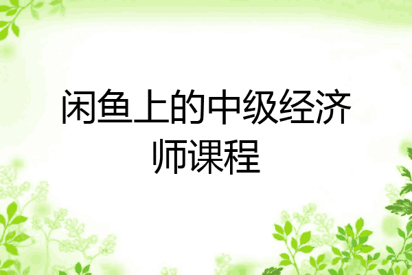 闲鱼上的中级经济师课程