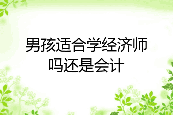 男孩适合学经济师吗还是会计