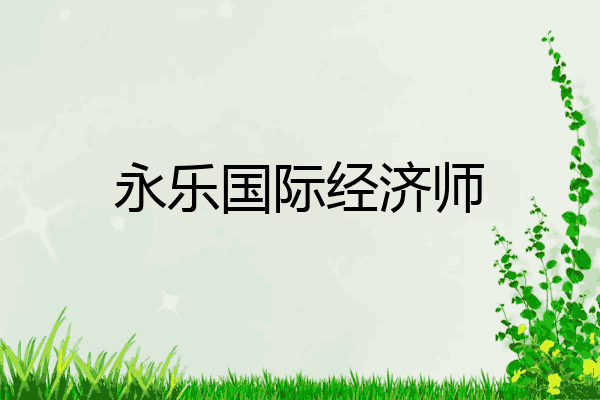 永乐国际经济师