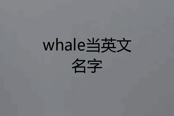 whale当英文名字