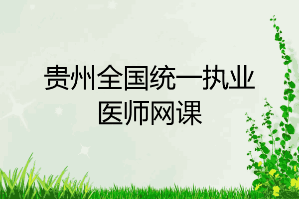 贵州全国统一执业医师网课