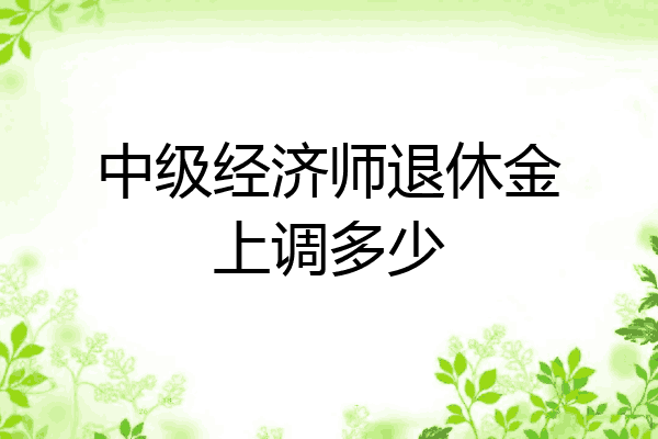中级经济师退休金上调多少