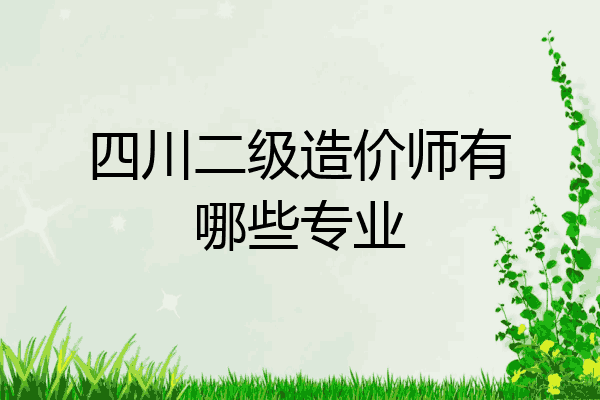 四川二级造价师有哪些专业