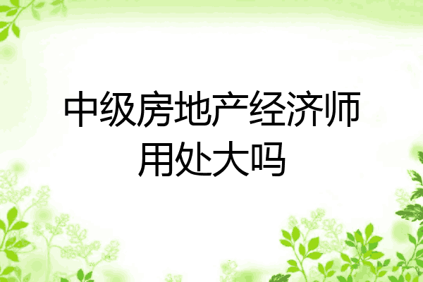 中级房地产经济师用处大吗