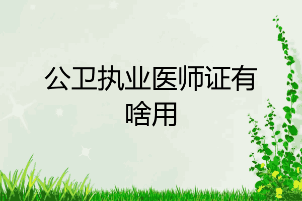 公卫执业医师证有啥用