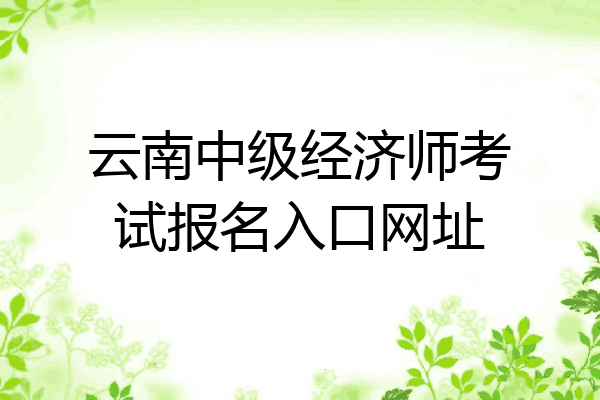 云南中级经济师考试报名入口网址