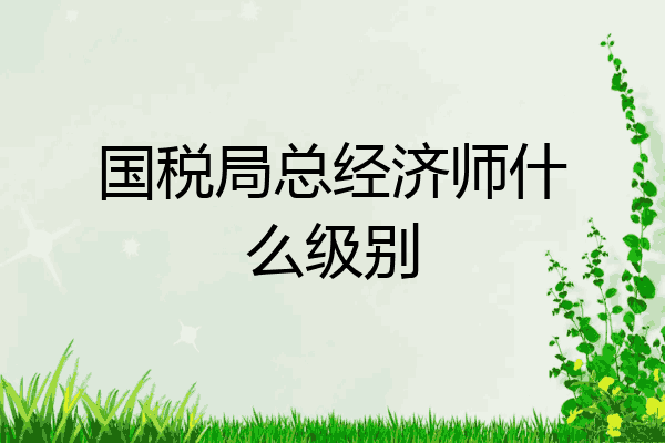国税局总经济师什么级别