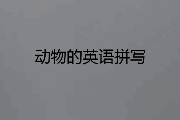 动物的英语拼写