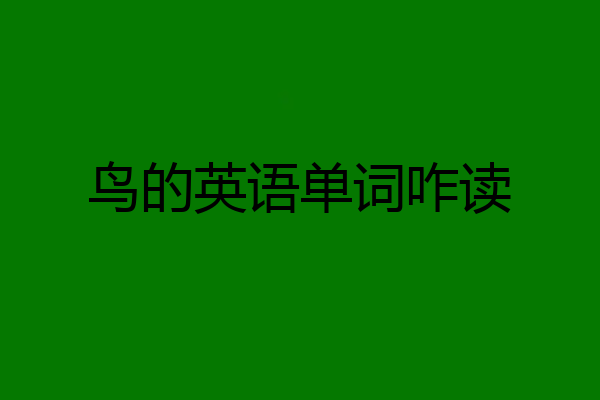 鸟的英语单词咋读