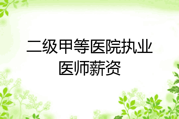 二级甲等医院执业医师薪资