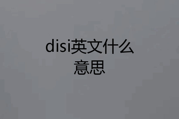 disi英文什么意思