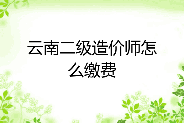 云南二级造价师怎么缴费