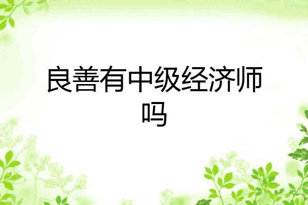 良善有中级经济师吗