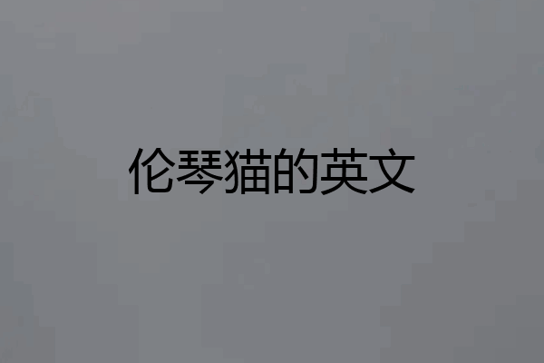 伦琴猫的英文