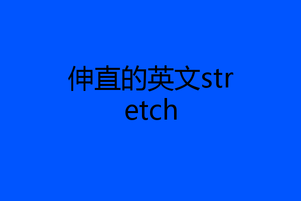 伸直的英文stretch
