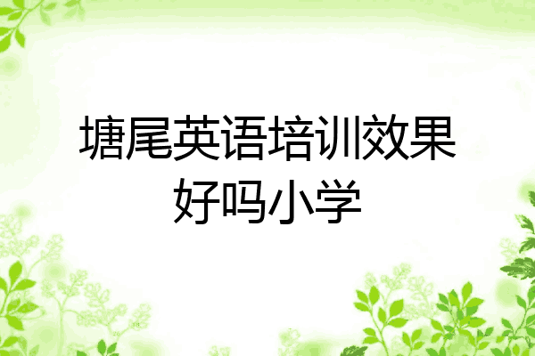 塘尾英语培训效果好吗小学