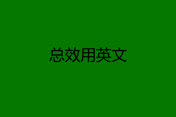 总效用英文