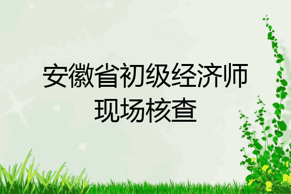 安徽省初级经济师现场核查