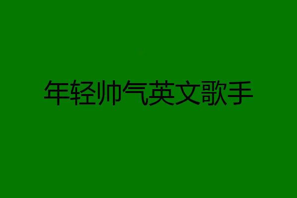 年轻帅气英文歌手