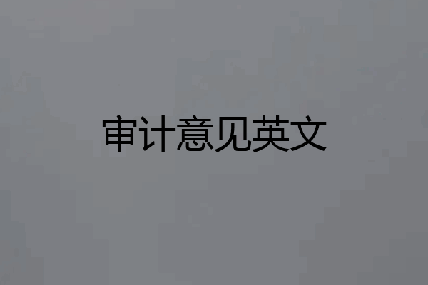 审计意见英文