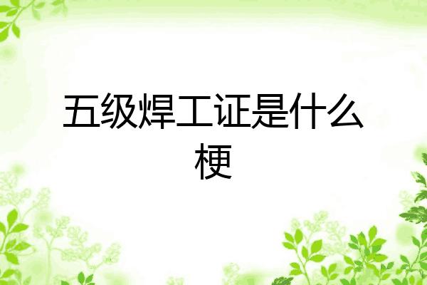 五级焊工证是什么梗