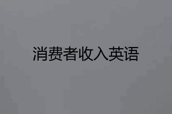 消费者收入英语