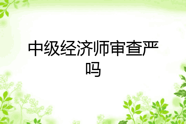 中级经济师审查严吗