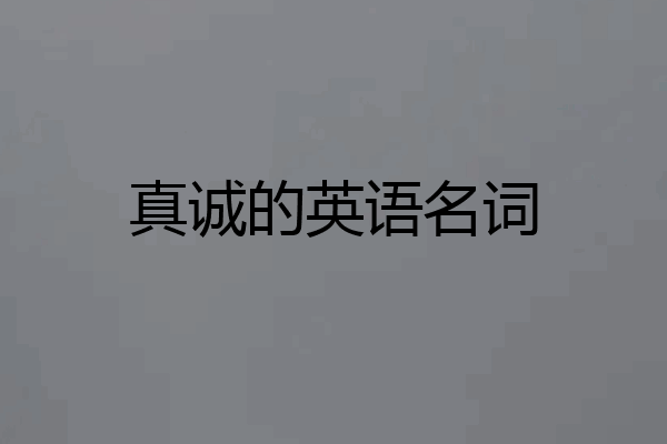 真诚的英语名词