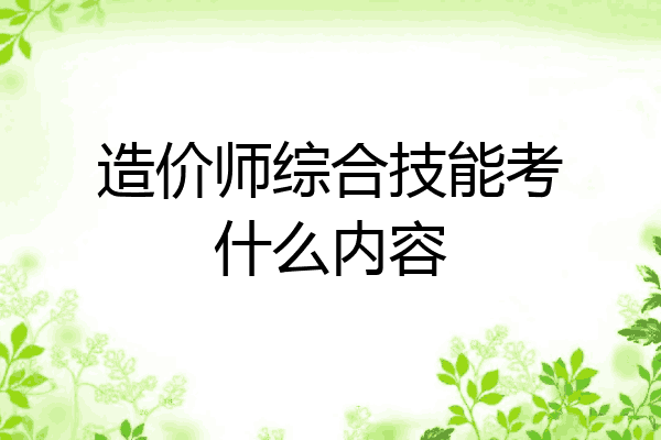 造价师综合技能考什么内容