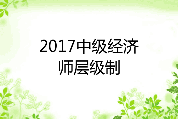 2017中级经济师层级制