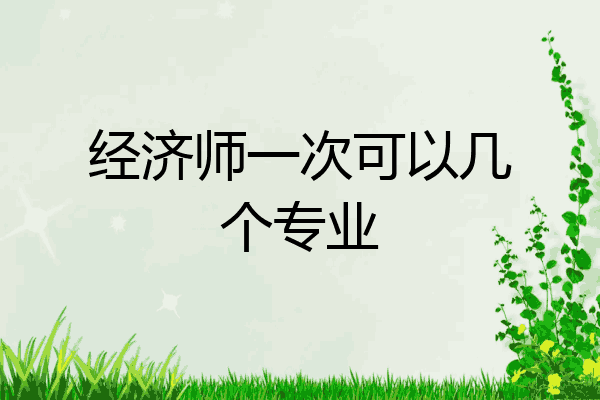 经济师一次可以几个专业