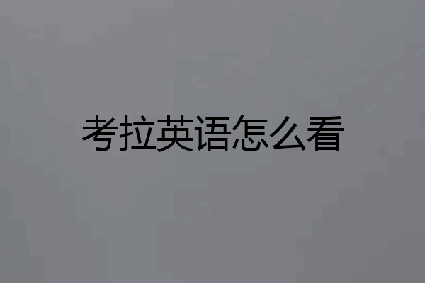 考拉英语怎么看