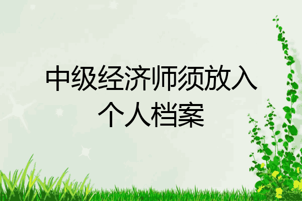 中级经济师须放入个人档案