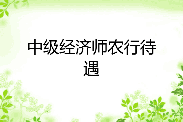中级经济师农行待遇