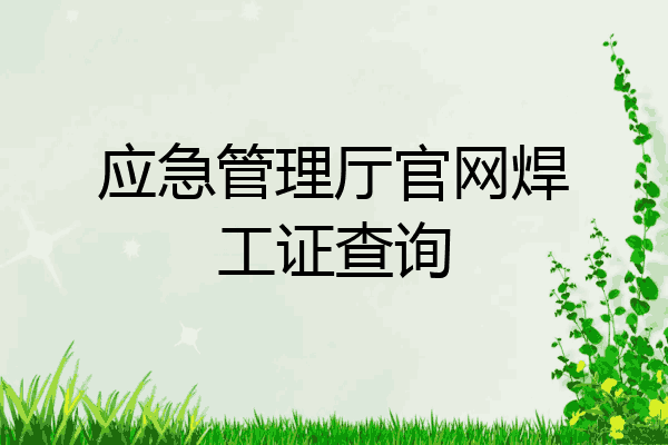 应急管理厅官网焊工证查询