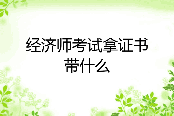 经济师考试拿证书带什么
