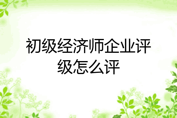 初级经济师企业评级怎么评