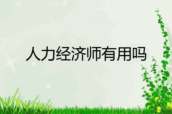 人力经济师有用吗