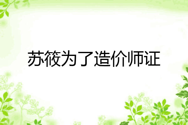 苏筱为了造价师证