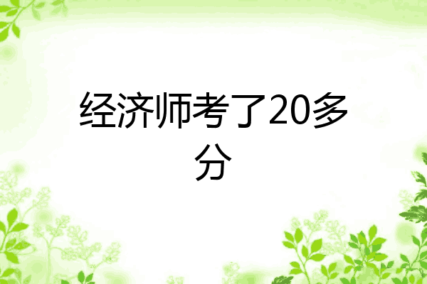 经济师考了20多分