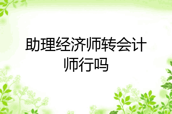 助理经济师转会计师行吗
