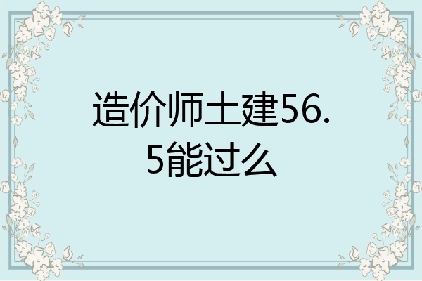 造价师土建56.5能过么