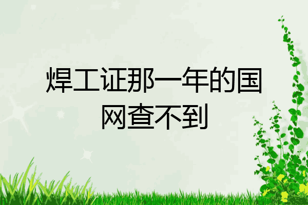 焊工证那一年的国网查不到