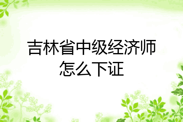 吉林省中级经济师怎么下证
