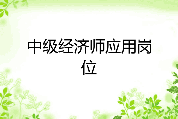 中级经济师应用岗位