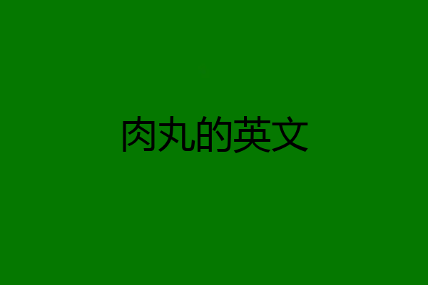 肉丸的英文