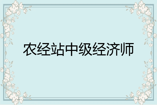 农经站中级经济师